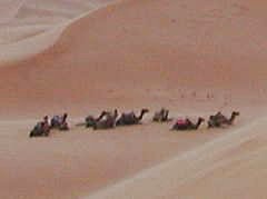 サハラ砂漠の赤い砂
